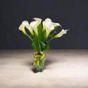 Elegancia de Alcatraces Blancos